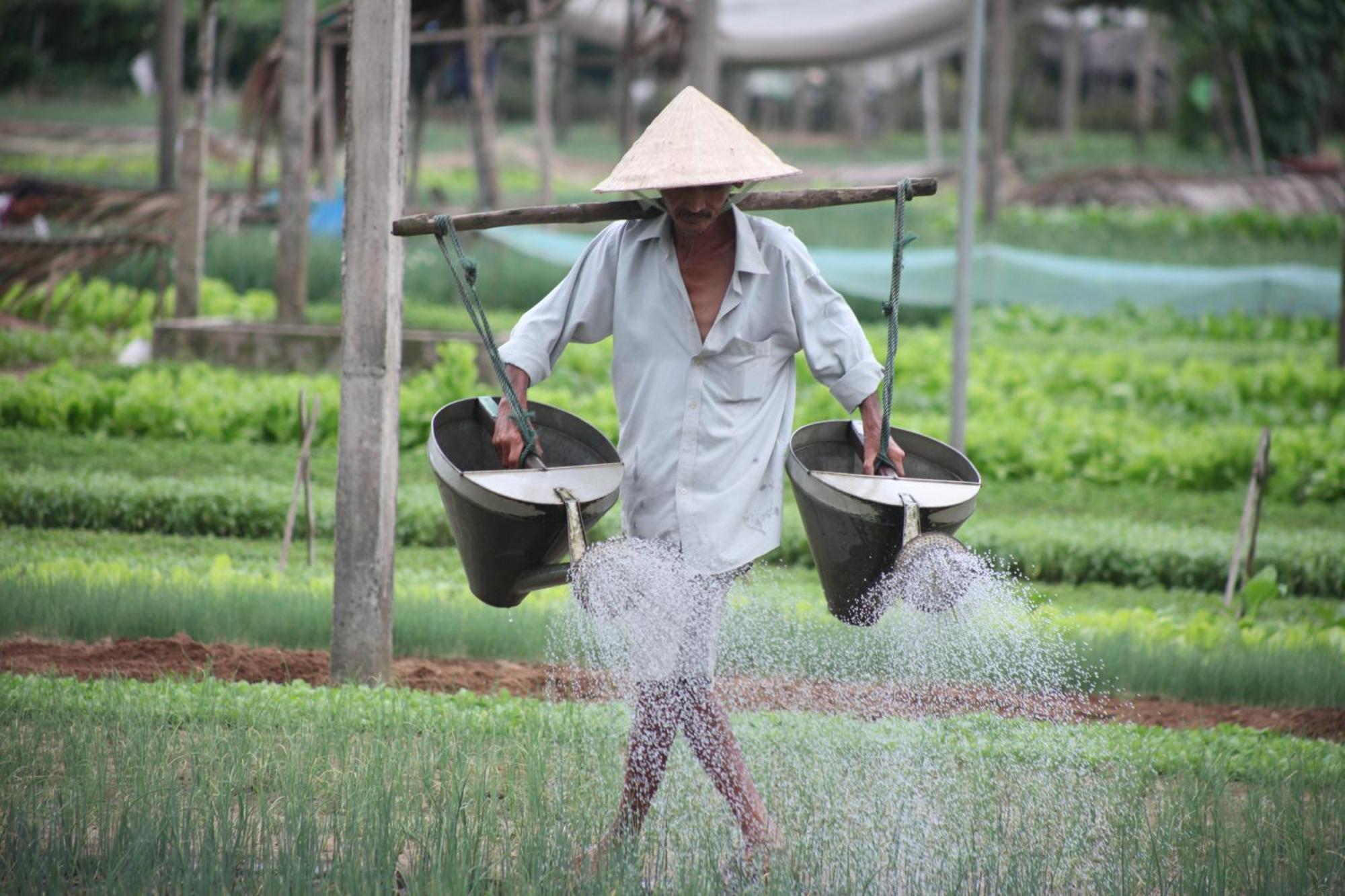 Charming Homestay Hoi An Luaran gambar