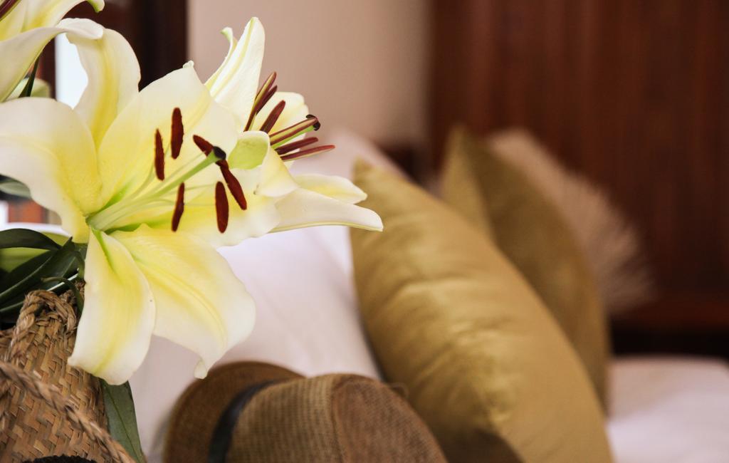 Charming Homestay Hoi An Luaran gambar
