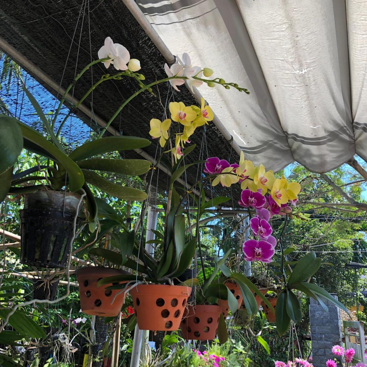 Charming Homestay Hoi An Luaran gambar