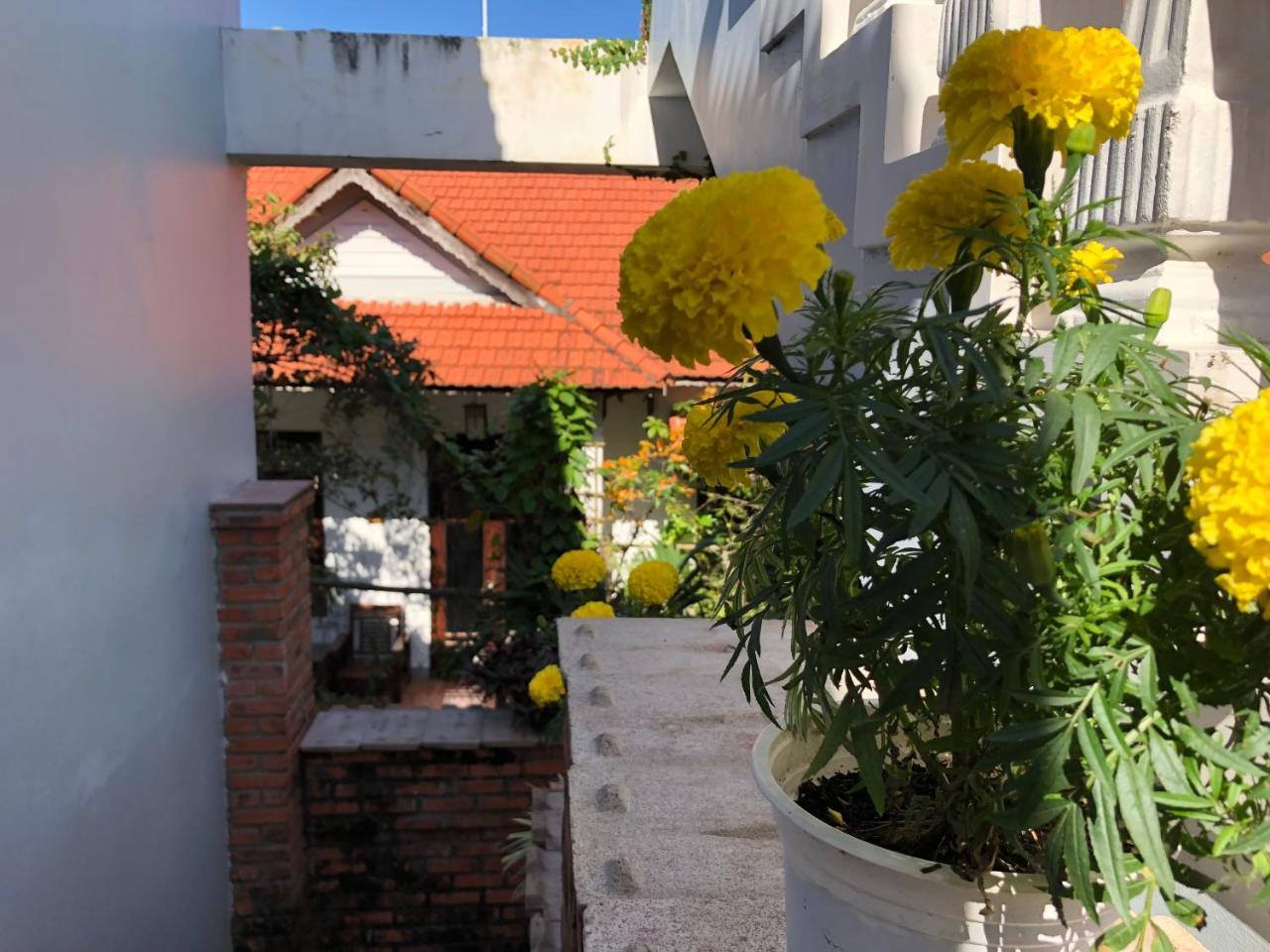 Charming Homestay Hoi An Luaran gambar